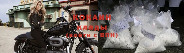 мдпв Осташков